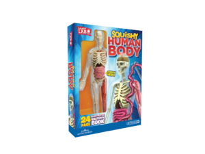 Squishy Human Body