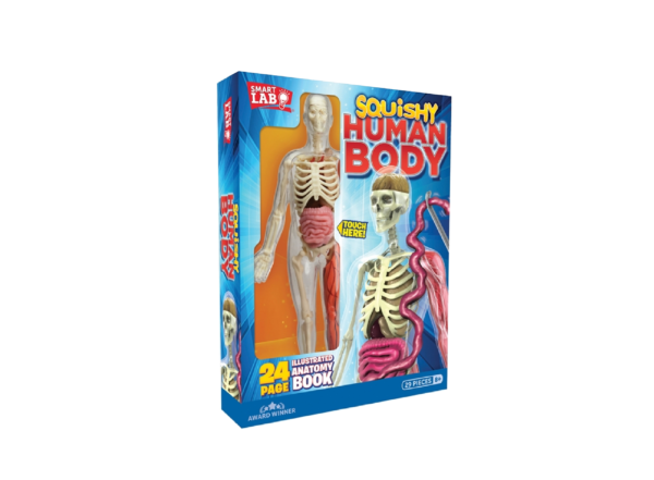 Squishy Human Body