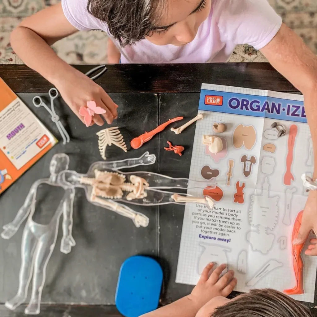 Gogiks - Tienda online de juguetes STEAM educativos en Ecuador